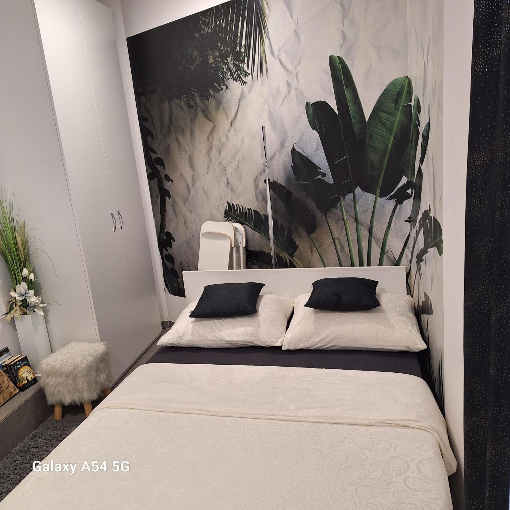 Apartman Louis I Lola